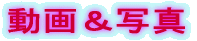 ���恕�ʐ^